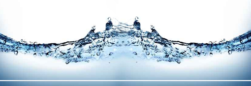 bactericide et fongicide